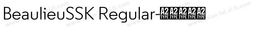 BeaulieuSSK Regular字体转换